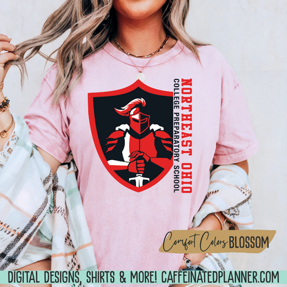 CUSTOM School TShirt, Mascot & Varsity Lettering TShirt // ADULT