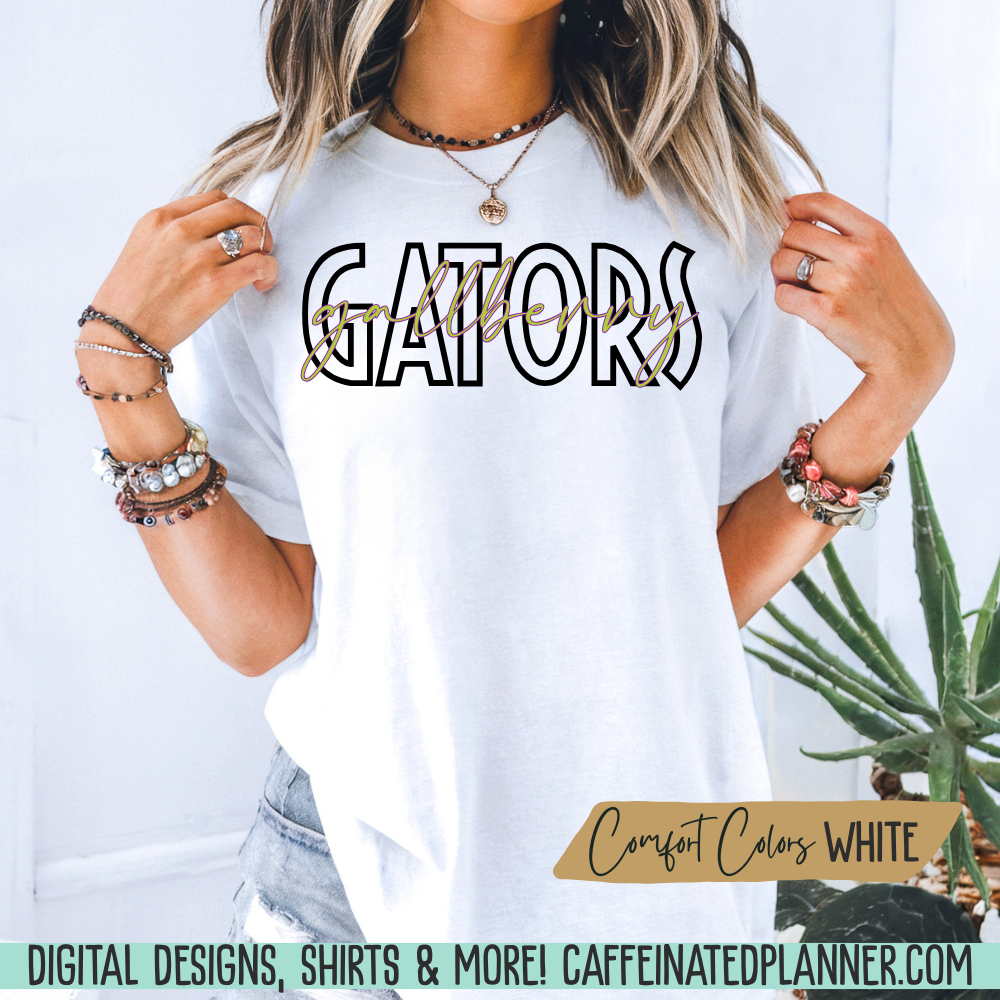 CUSTOM School TShirt, Minimalist School & Mascot TShirt // ADULT