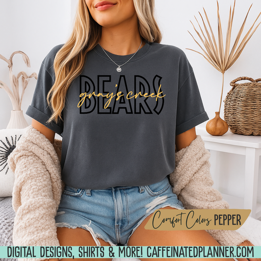 CUSTOM School TShirt, Minimalist School & Mascot TShirt // ADULT