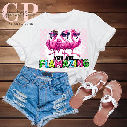 You are FLAMAZING // Flamingo PNG
