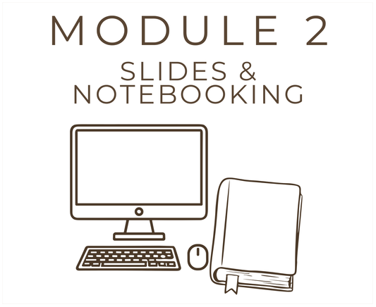 Module 2 // Slides & Notebooking